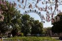 Prater Riesenrad